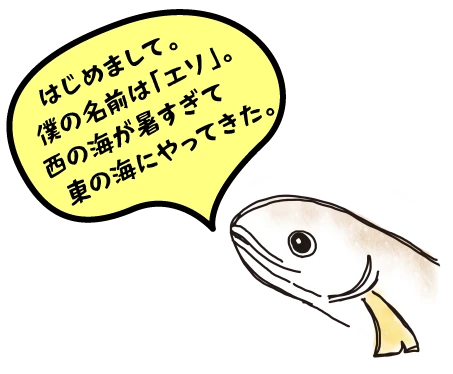 はじめまして。 僕の名前は「エソ」。西の海が暑すぎて 東の海にやってきた。